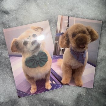 JYLAX - Pet Groomers Near Me - Encino, California JYLAX - Pet Groomers Near Me - Encino, California