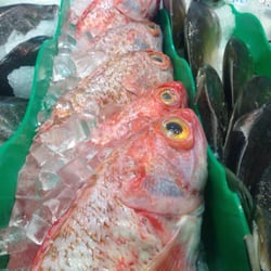 Costi's Fishmarket - Ocean perch