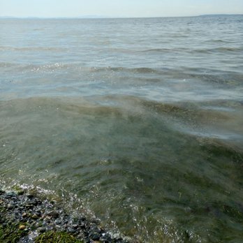 Birch Bay State Park - Parks Near Me - Blaine, Washington