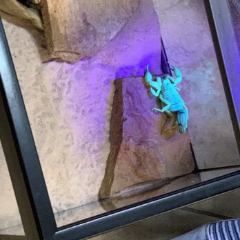 EcoVivarium - Museums Near Me - Escondido, California EcoVivarium - Museums Near Me - Escondido, California