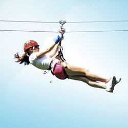 Campo Rico Ziplining Adventures - Campo Rico Ziplining Adventure brought to you by Ecoquest offers the best tours 5 minutes away from San Juan, Puerto Rico.