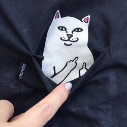 Zumiez - Ayeeee!
