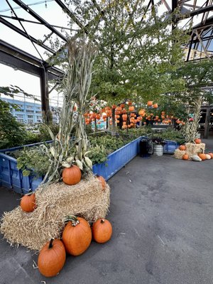 Cherry Street Pier by null Cherry Street Pier by null