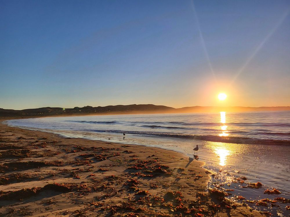 DORAN REGIONAL PARK 713 Photos & 136 Reviews 201 Doran Beach Rd