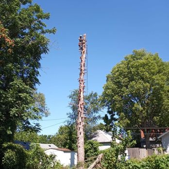 A+ Limb and Trim - Tactical removal, surrounded by power lines - Tree Services Near Me A+ Limb and Trim - Tactical removal, surrounded by power lines - Tree Services Near Me