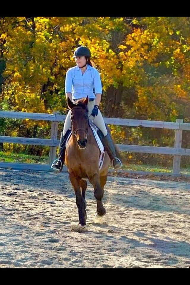 Cutter Farm - equestrian in Dracut, MA
