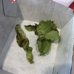 Rotten lettuce from a Grilled Chicken Sandwich Meal Rotten lettuce from a Grilled Chicken Sandwich Meal