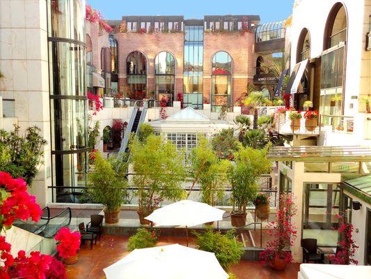 The Rodeo Collection by null