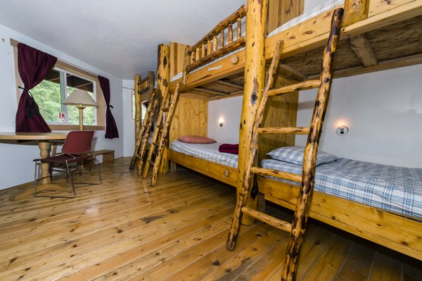 Denali Hostel & Cabins by null