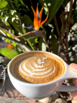 Temple Coffee Roasters by null