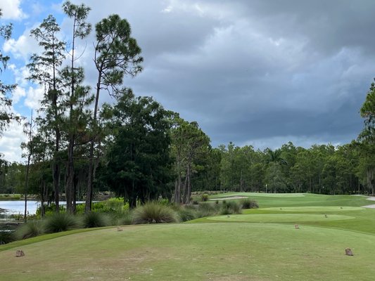 Tiburón Golf Club by null