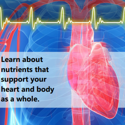 Enjoy Natural Health Care - The Heart Sound Recorder(HSR) is a computer-based wellness monitor which uses a sensor to observe and record heart sounds.