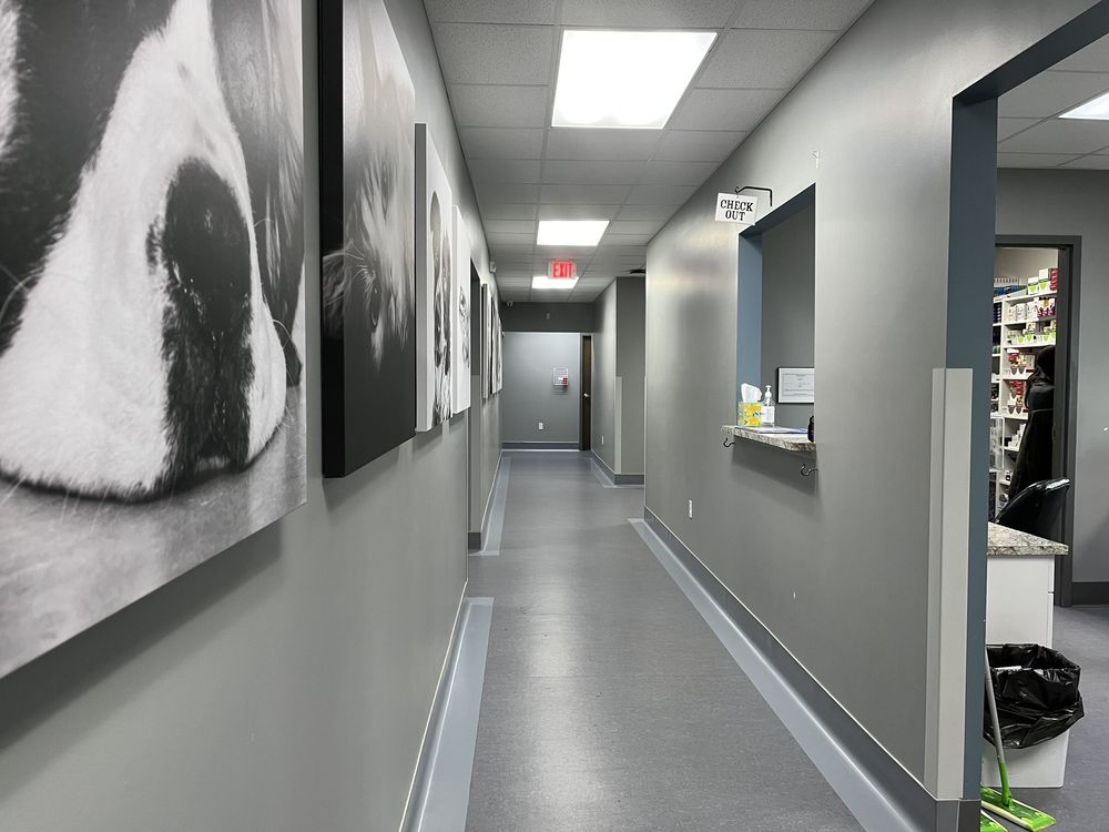 GLENWOOD PET HOSPITAL Updated June 2024 17 Reviews 2233 W 38th St