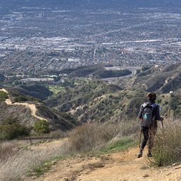 Vital Link trail downhill.