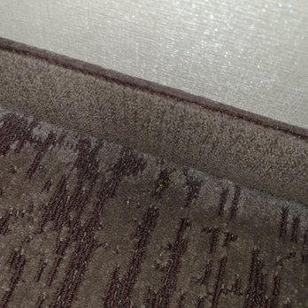 Baymont by Wyndham Glenview - LIVE AND DEAD BEES WITH STINKBUGS - Hotels Near Me - Glenview, Illinois Baymont by Wyndham Glenview - LIVE AND DEAD BEES WITH STINKBUGS - Hotels Near Me - Glenview, Illinois