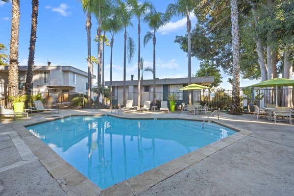 Trolley Palm by null