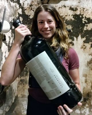 Casarena Bodega y Viñedos by null