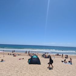 Manly Beach - Manly Beach