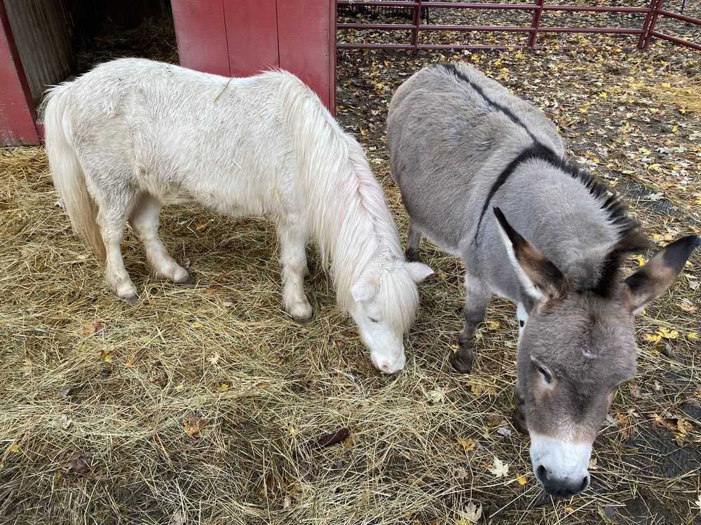 LEHNER’S PUMPKIN FARM - TEMP. CLOSED - 62 Photos & 14 Reviews - 2920 ...