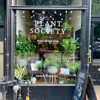 Plant Society - Storefront - Nurseries & Gardening Near Me - Toronto, Ontario Plant Society - Storefront - Nurseries & Gardening Near Me - Toronto, Ontario
