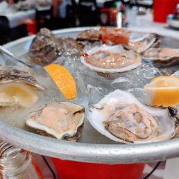 Oysters Oysters