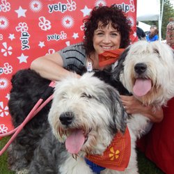 Clarence Bark In the Park