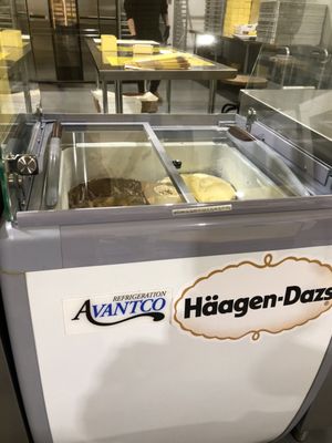 Thin Cookies - Hicksville by null