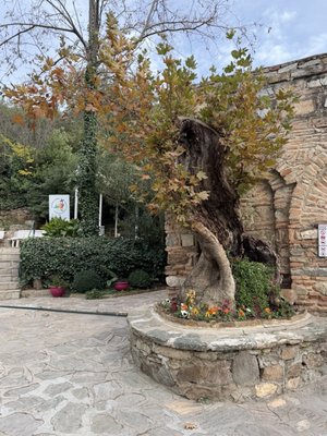 House of Virgin Mary by null