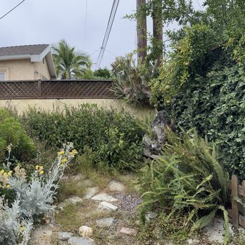 Coastal Outdoor Services - Before - Landscaping Near Me Coastal Outdoor Services - Before - Landscaping Near Me