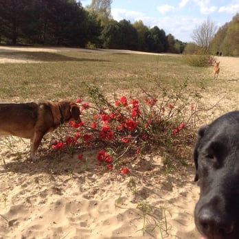 Bieselheide - Hiking Near Me - Berlin, BE