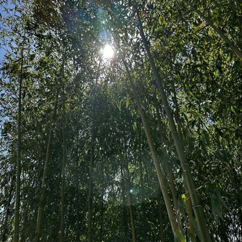 The Japanese Garden - Botanical Gardens Near Me - Van Nuys, California