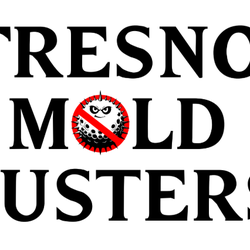 Fresno Mold Busters - Fresno Mold Busters
