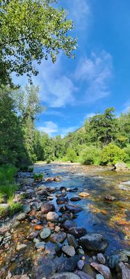 Greenough Park by null