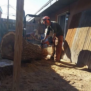 Antonio' s Tree Service - Tree Services Near Me - Albuquerque, New Mexico