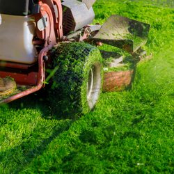 Early Bird Lawn & Construction