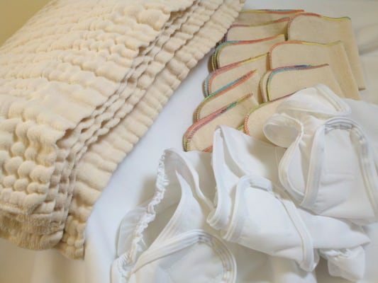 River Raisin Diaper Company