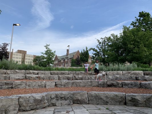 McMaster University by null