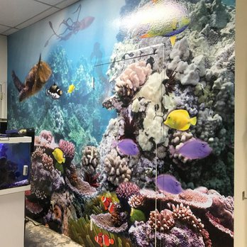 51 Wraps - Wall Wrap - Print Media Near Me - Tulsa, Oklahoma