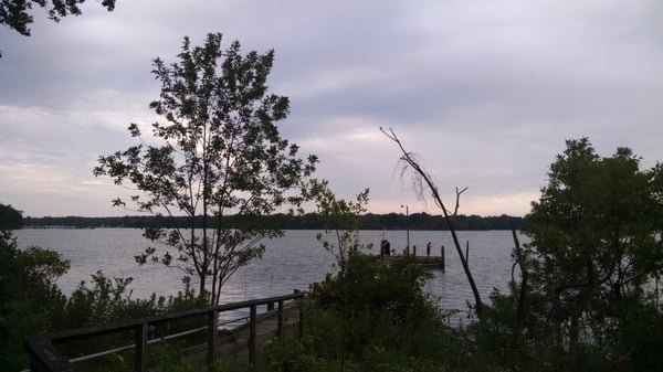 Anita C Leight Estuary Center by null