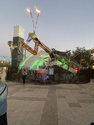 Taste Buzz Food Tours by null