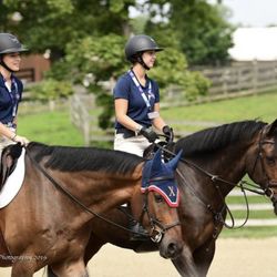 Harley Brown Equestrian - Alex Volpi and Emma Reichow