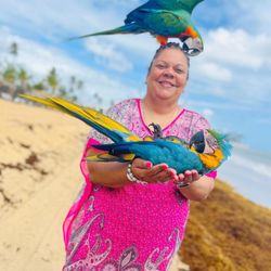 Travel Antics - Punta Cana
