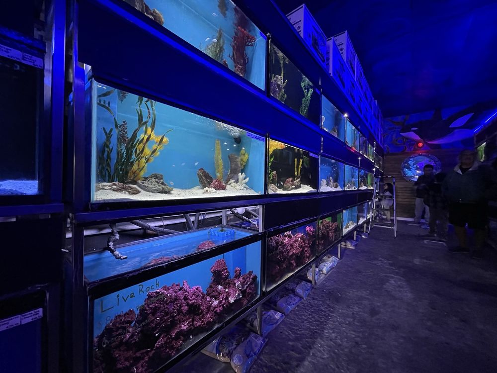Ocean Fish Shop OCEAN’S TROPICAL FISH - Updated July 2026 - 221 Photos & 160 Reviews ...