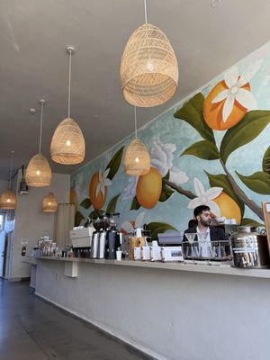 Jaffa Coffee Roasters by null