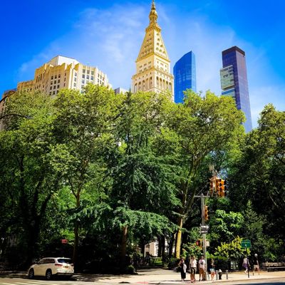 Madison Square Park by null