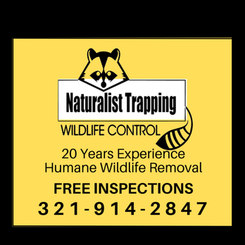 Naturalist Trapping and Prevention - FREE INSPECTION - Wildlife Control Near Me - PT ORANGE, Florida Naturalist Trapping and Prevention - FREE INSPECTION - Wildlife Control Near Me - PT ORANGE, Florida