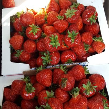 Clark's Berry Farm - 3 large flats - Fruits & Veggies Near Me - Lynden, Washington Clark's Berry Farm - 3 large flats - Fruits & Veggies Near Me - Lynden, Washington