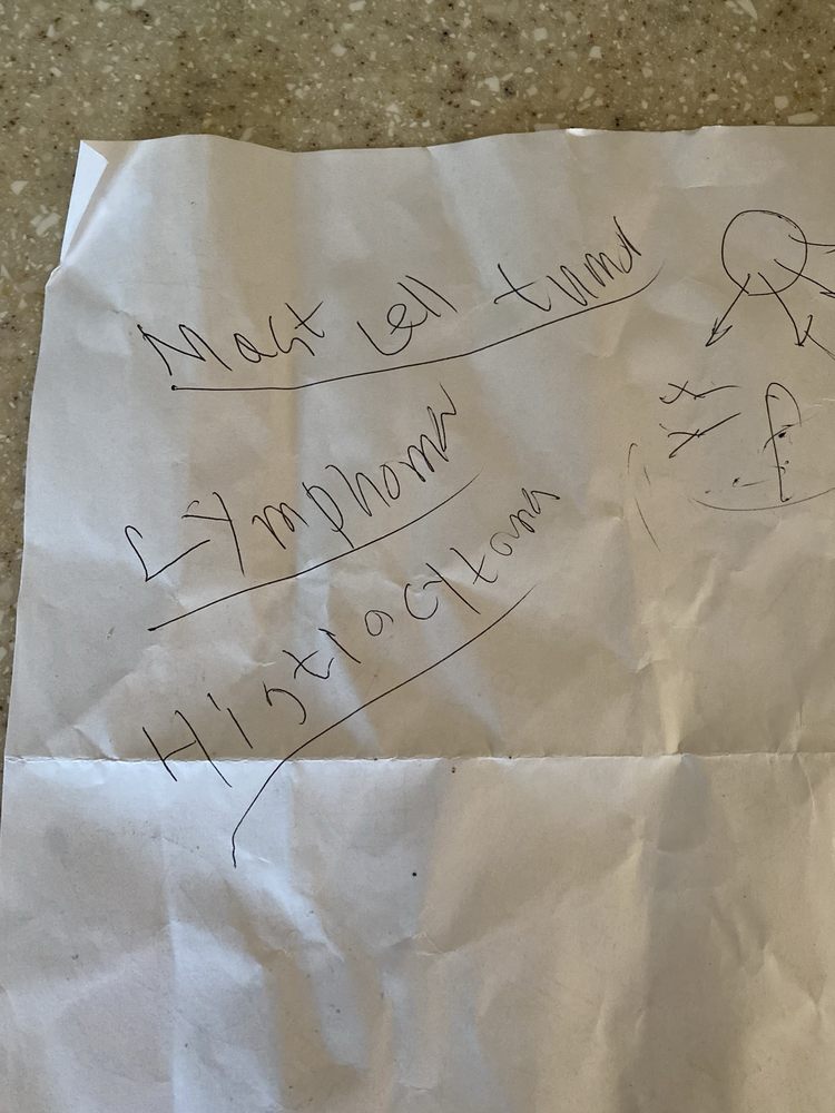 CAPE COD VETERINARY SPECIALISTS DENNIS Updated August 2024 22