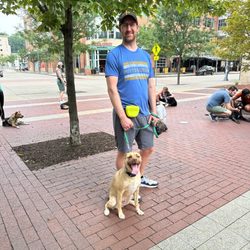 Say It Once Dog Training - Group class