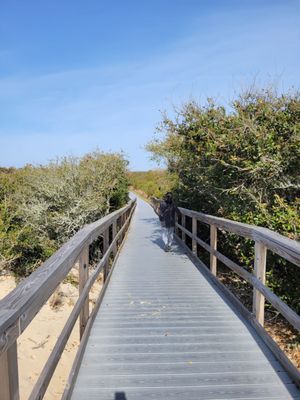 Back Bay National Wildlife Refuge by null